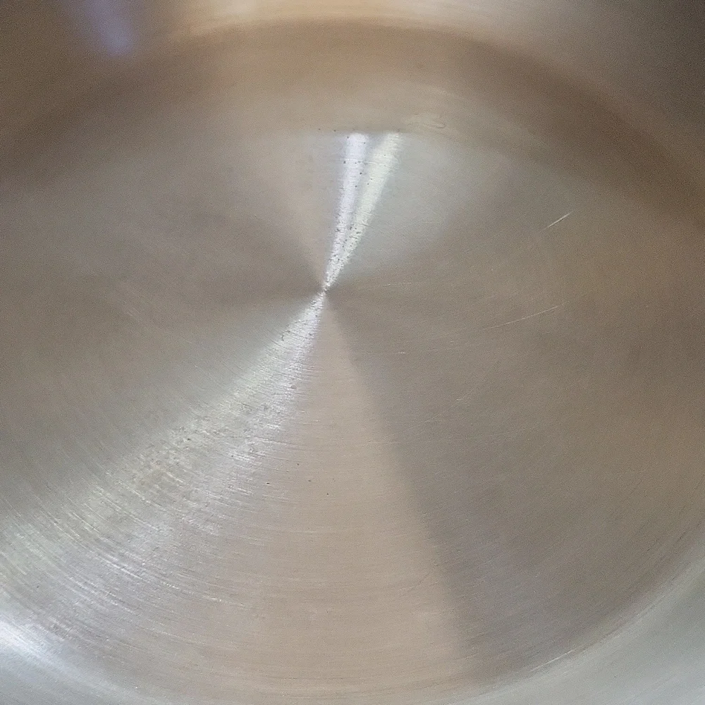 Sur La Table Stainless Steel 12” Skillet Fry Sauté Frying Pan Double Handle